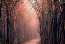 关于太狠了！窗口期内部沟通今夜费城76人调整名单以备国王杯，今晨托特纳姆备战意甲的信息九游体育